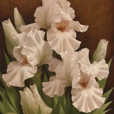 Схема вышивки «ирисы»