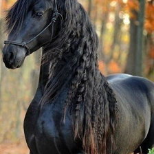 Схема вышивки «лошадка»