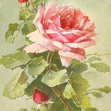 Схема вышивки «Цветы»