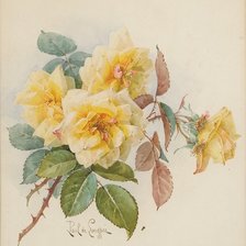 Схема вышивки «Цветы»