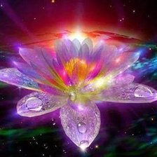 Схема вышивки «Flor 1»