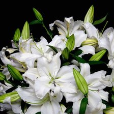 Схема вышивки «букет лилий»