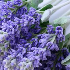 Схема вышивки «№924237»