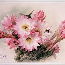 Схема вышивки «Цветы»