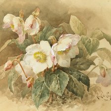 Схема вышивки «Цветы»