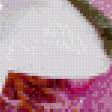 Предпросмотр схемы вышивки «орхидеи» (№924263)