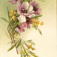 Схема вышивки «Цветы»