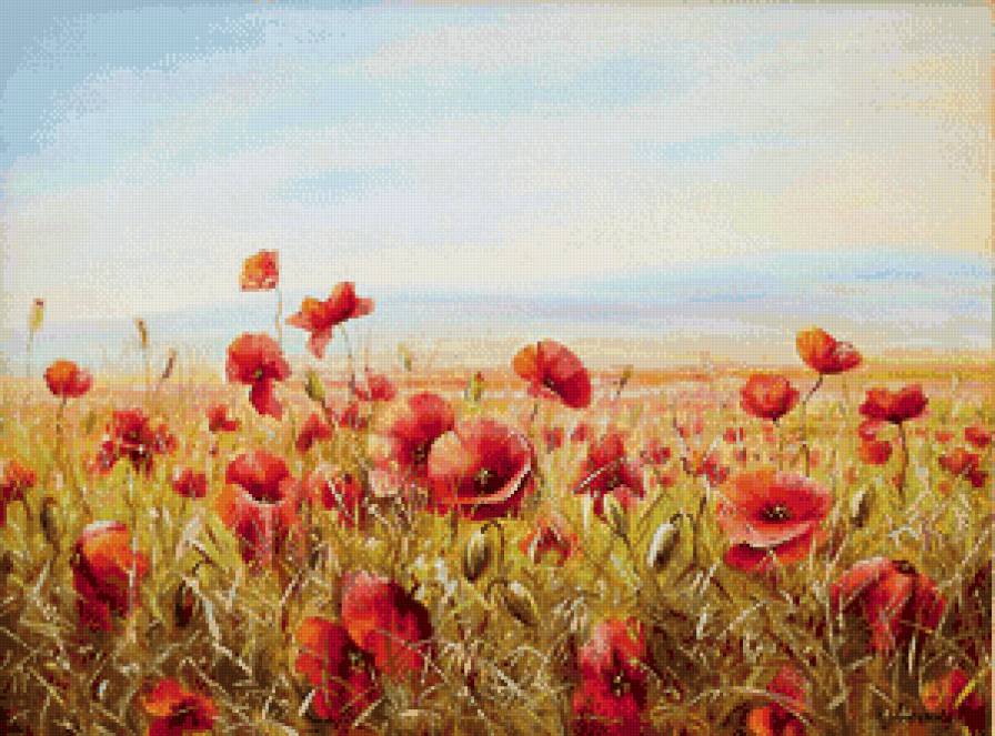 маки - маки, пейзаж, цветы - предпросмотр