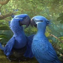 Схема вышивки «Рио»