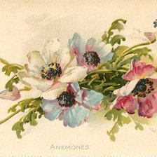 Схема вышивки «Цветы»