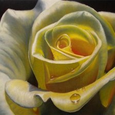 Схема вышивки «Цветы»