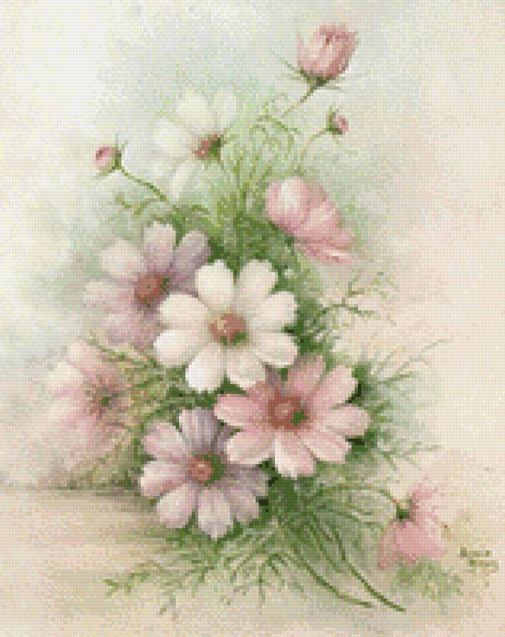 космея - цветы - предпросмотр