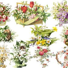 Схема вышивки «№924535»