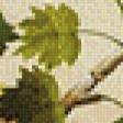 Предпросмотр схемы вышивки «Ветка крыжовника худ.Ф.П.Толстой» (№924716)