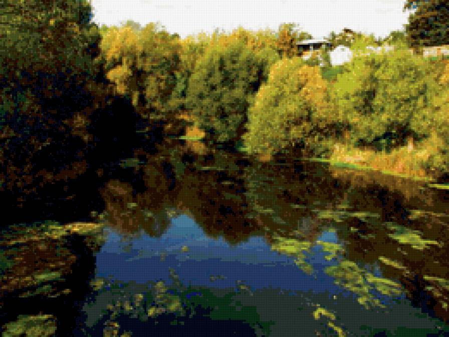 Уголок природы - предпросмотр