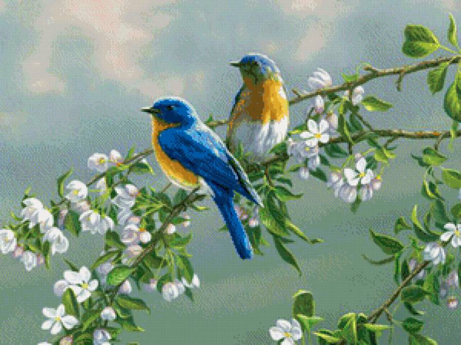 Птичка - цветы, природа, птицы - предпросмотр
