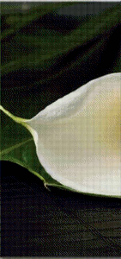 Каллы 1 схема триптиха - 1 - предпросмотр