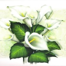 Схема вышивки «Каллы»