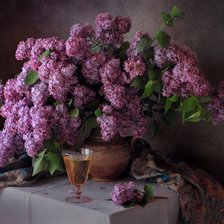 Схема вышивки «siren»