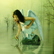 Схема вышивки «Девушка-ангел»