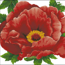 Схема вышивки «мак»