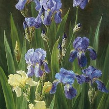 Схема вышивки «№925403»