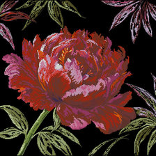 Схема вышивки «Пионы»