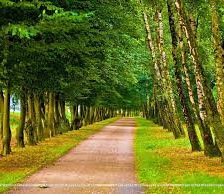 Схема вышивки «Road»