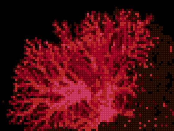 коралл - красный, коралл - предпросмотр