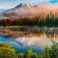 Схема вышивки «№925654»