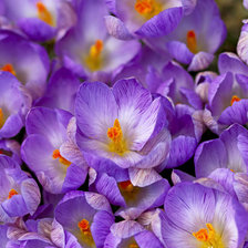 Схема вышивки «№925658»