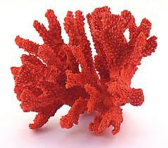 коралл 2 - коралл - оригинал
