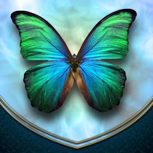 Схема вышивки «Бабочка»