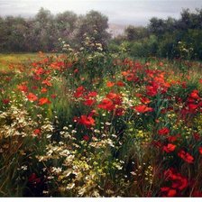 Схема вышивки «полевые цветы»