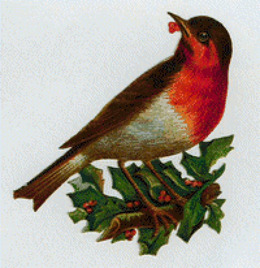 Винтажная птичка - птица, винтаж, зима - предпросмотр