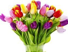 Схема вышивки «тюльпаны»