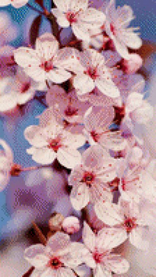 №926428 - цветы, весна, вишня - предпросмотр