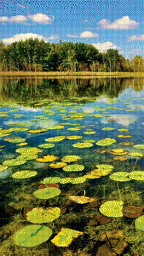 №926435 - красота, природа, пруд - предпросмотр