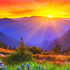 Схема вышивки «№926443»