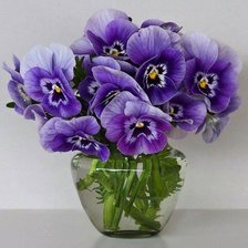 Схема вышивки «№926462»