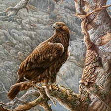 Схема вышивки «№926527»