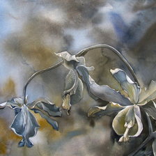 Схема вышивки «№926646»