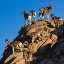 Схема вышивки «ртүзш»