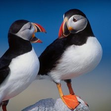 Схема вышивки «пд»