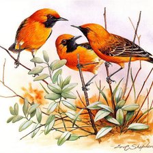 Схема вышивки «птички на ветке»