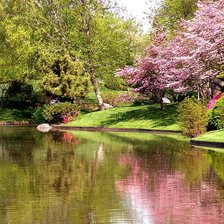 Схема вышивки «Весна, отражение»