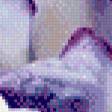 Предпросмотр схемы вышивки «Ирис» (№927091)