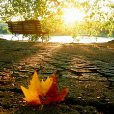 Схема вышивки «Осень»