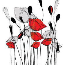 Схема вышивки «маки»