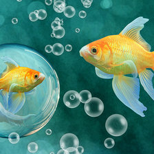 Схема вышивки «Золотые рыбки»